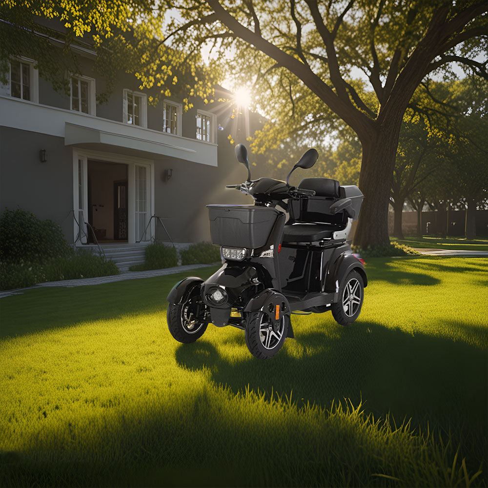 ROLLUX XL3D4W Drum 60V20Ah Electric Lead-Acid/Lithium Battery Mobility 500W Scooter Brake