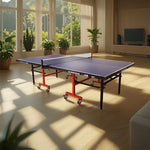 DOUBLE FISH Net 201 Table-Bats Tennis Pingpong Play Balls ITTF Blue Foldable Table Indoor 18mm Solo Approve