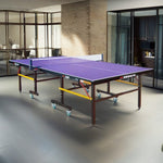 DOUBLE FISH Play Net Balls 18mm Table Tennis 201A Foldable Pingpong ITTF Solo Table-Bats Indoor Indigo Approve