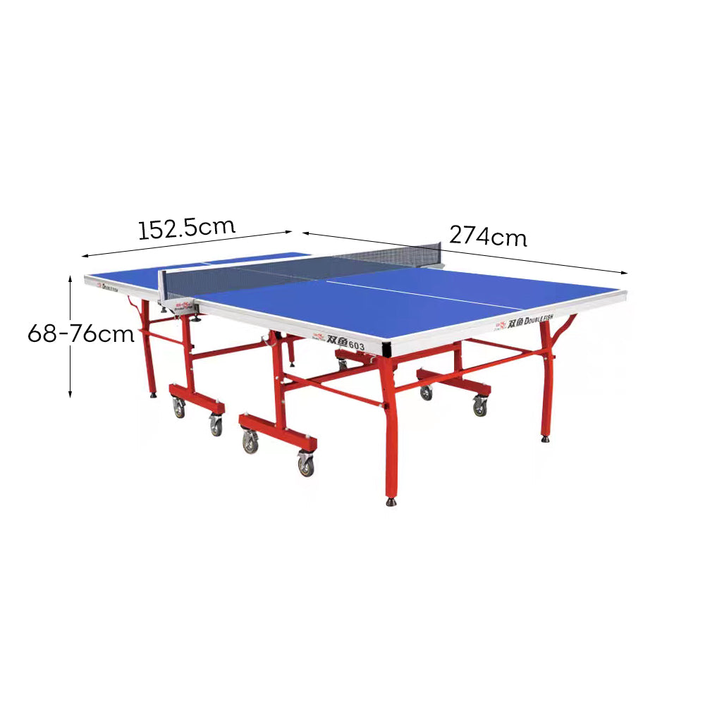 DOUBLE FISH Table Tennis Table 18mm ITTF Solo Play Table-Bats Balls Pingpong Foldable Indoor Net Blue Approve