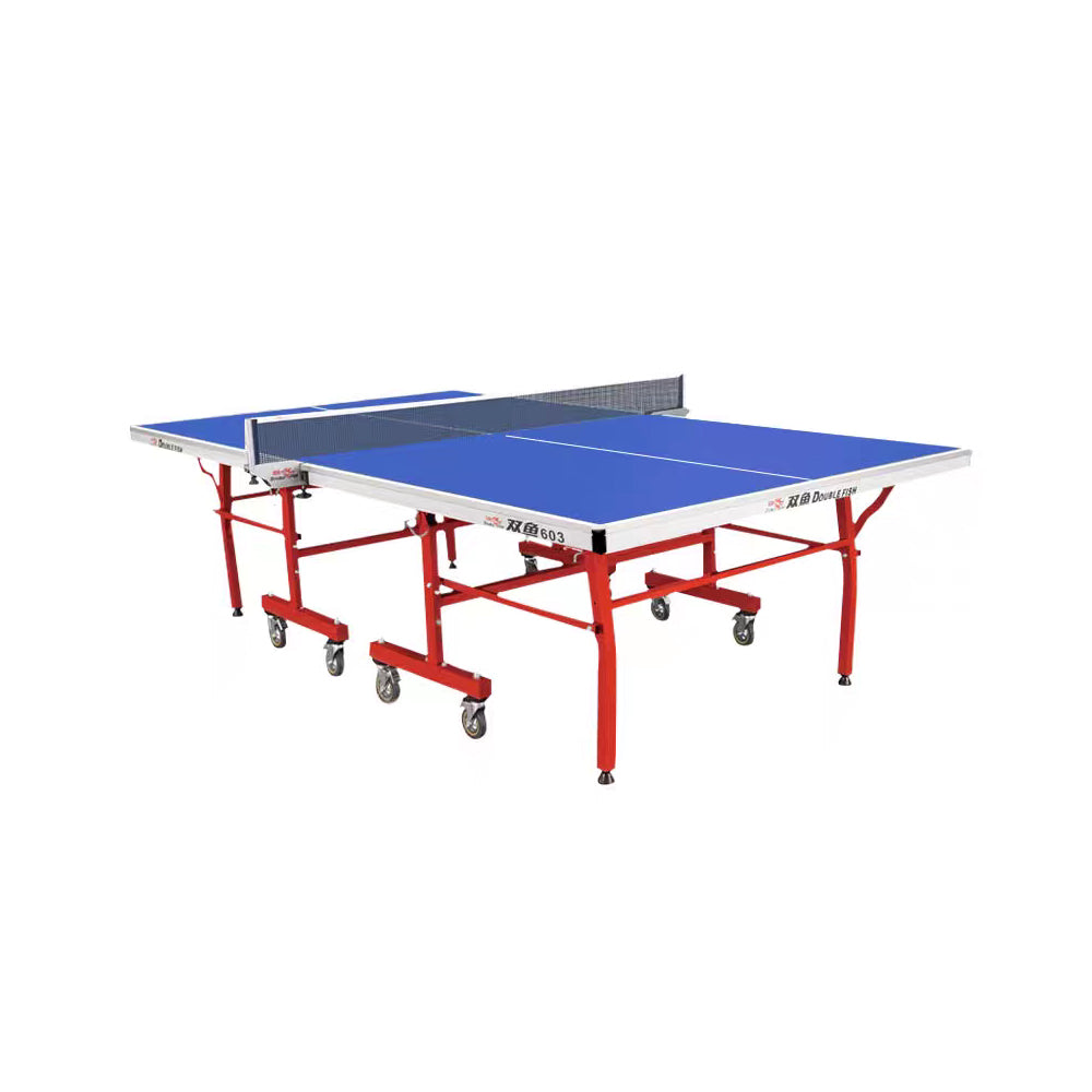DOUBLE FISH Table Tennis Table 18mm ITTF Solo Play Table-Bats Balls Pingpong Foldable Indoor Net Blue Approve