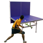 DOUBLE FISH Table Balls Table-Bats Indoor 18mm Net K3 ITTF Play Pingpong Solo Foldable Tennis Blue Approve