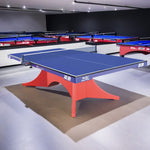 DOUBLE FISH ITTF 2-B - Tennis/Ping Table Volant Ball Bats Table Red&Blue Pro 25mm Indoor Pong Net Approve