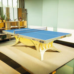 DOUBLE FISH Tennis/Ping Net King Table Pong Indoor 25mm Volant ITTF Table Ball Bats - Approve