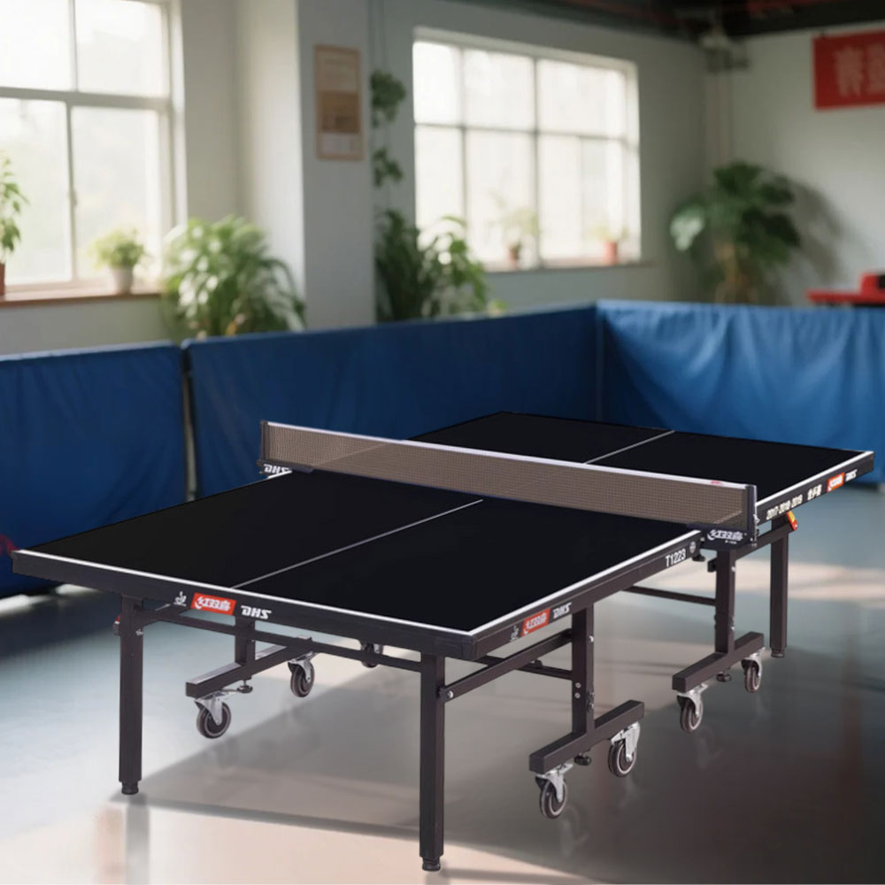 DHS T1223 Bats Pingpong 22mm Table Blue&Black Balls Table Indoor - Premium Tennis Net
