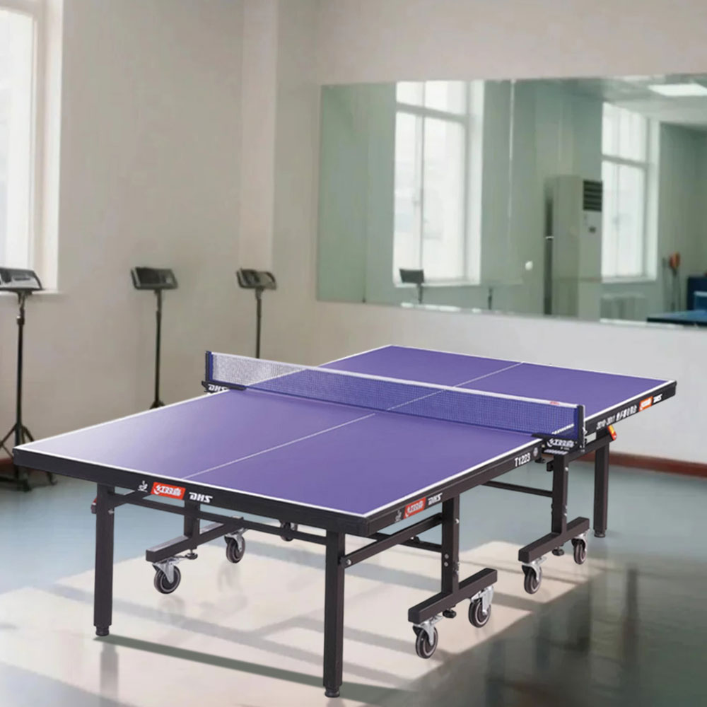 DHS T1223 Bats Pingpong 22mm Table Blue&Black Balls Table Indoor - Premium Tennis Net