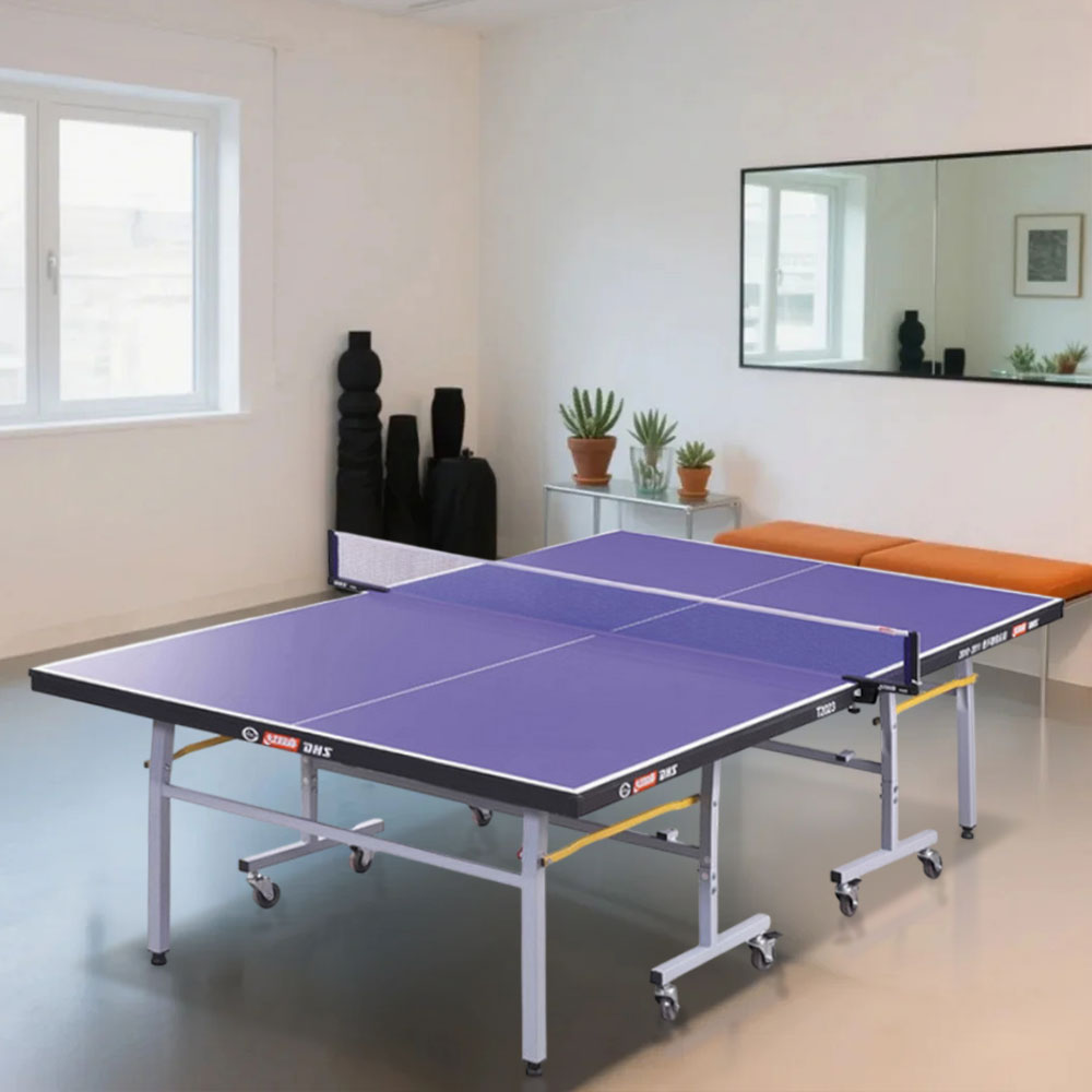DHS T2023&T2123 Bats Table Table Tennis - Blue Balls Premium Indoor 18mm&15mm Pingpong Net