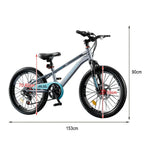 VOLTUS 18/20/22 - Wheels Spoke Bike - Single-Speed Kids' Gear Options, Grey