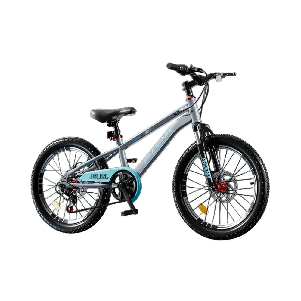 VOLTUS 18/20/22 - Wheels Spoke Bike - Single-Speed Kids' Gear Options, Grey