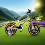 VOLTUS 14/18/22 Alloy Wheel Bicycle Integrated Upgraded Training Inch Foot Children's - Magnesium Support Wheels Golden