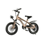 VOLTUS 14/18/22 Children's Knife Foot Support Double-Layer Ring Wheels CNC Training Bicycle Inch - Golden