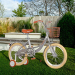 VOLTUS 16/20/22 Princess Options, Design - Seat, Bike Training Comfortable Kids' Wheel Safety Standard - Silver