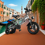 VOLTUS 18/20/22 Mudguard, No Sport Wheels - or Spoke Kids' Integrated Seat, Rear - with Bike Silvery