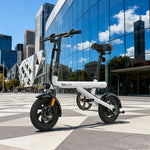 VOLTUS Folding Electric Bike 36V250W Brushless Motor Carbon Steel Frame