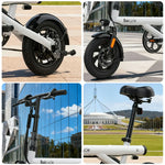 VOLTUS Folding Electric Bike 36V250W Brushless Motor Carbon Steel Frame
