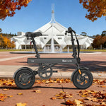 VOLTUS Folding Electric Bike 36V250W Brushless Motor Aluminium Alloy Frame Dual Disc Brakes Black