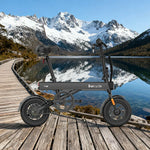 VOLTUS Folding Electric Bike 36V250W Brushless Motor Aluminium Alloy Frame Dual Disc Brakes Black