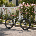 VOLTUS 20-Inch Kids Mountain Bike with Wide Tyres, Disc Brake and Adjustable Seat - Silver