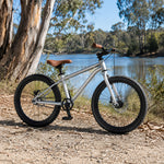 VOLTUS 20-Inch Kids Mountain Bike with Wide Tyres, Disc Brake and Adjustable Seat - Silver