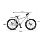 VOLTUS 20-Inch Kids Mountain Bike with Wide Tyres, Disc Brake and Adjustable Seat - Silver