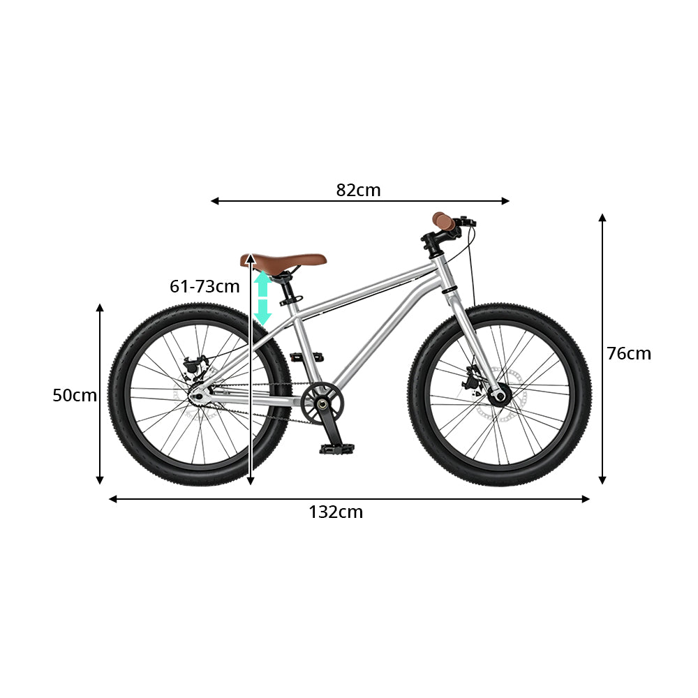 VOLTUS 20-Inch Kids Mountain Bike with Wide Tyres, Disc Brake and Adjustable Seat - Silver
