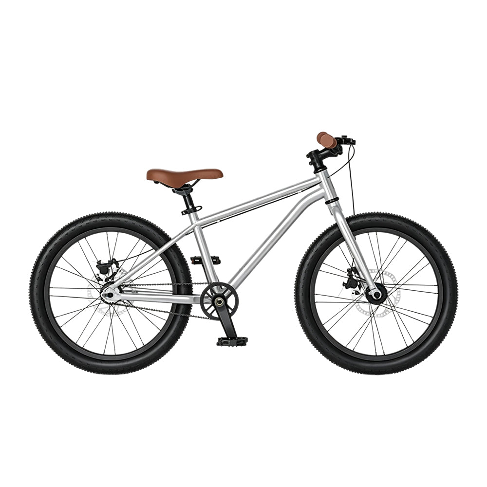 VOLTUS 20-Inch Kids Mountain Bike with Wide Tyres, Disc Brake and Adjustable Seat - Silver