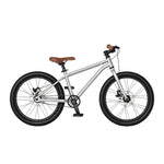 VOLTUS 20-Inch Kids Mountain Bike with Wide Tyres, Disc Brake and Adjustable Seat - Silver