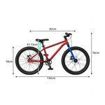 VOLTUS 20-Inch Kids Mountain Bike with Wide Tyres, Disc Brake and Adjustable Seat - Red