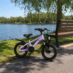 VOLTUS 14 Inch Kids Mountain Bike with Dual Disc Brake, Suspension Fork and Integrated Wheels for Outdoor Riding - Purple