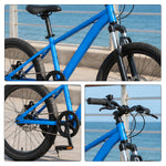 VOLTUS 20 Inch Kids Mountain Bike with Single Speed, Disc Brake and Suspension Fork for Youth Outdoor Riding - Blue