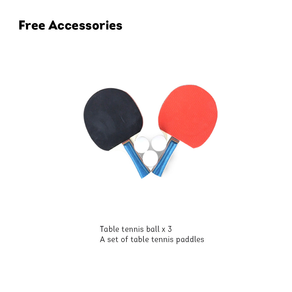 DOUBLE FISH Table-Bats Table Tennis Balls Pingpong Net ITTF Waterproof Outdoor Blue SW318B Approve